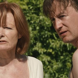 Bilder Der Kuckuck und der Esel