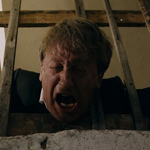 Bilder Der Kuckuck und der Esel