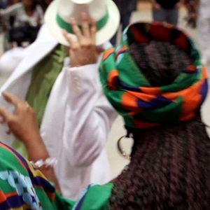 Bilder Damas do Samba