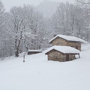 Bilder 100 días de soledad