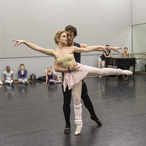 Bilder Petals on the Wind