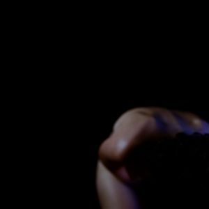 Bilder O Animal Sonhado