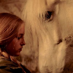 Bilder Die Legende der weißen Pferde