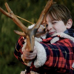 Bilder Die Legende der weißen Pferde