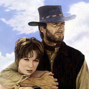 Bilder Ein Fressen für die Geier