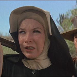 Bilder Ein Fressen für die Geier