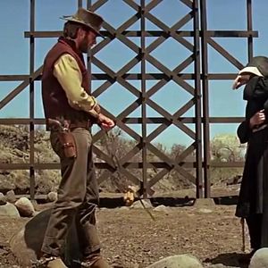 Bilder Ein Fressen für die Geier