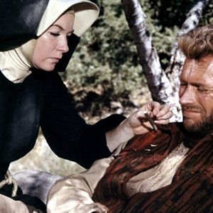 Bilder Ein Fressen für die Geier