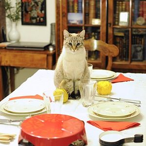 Bilder Autoportretul Unei Fete Cuminti