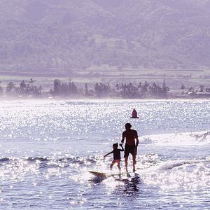 Bilder The Search for Freedom