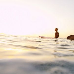 Bilder The Search for Freedom