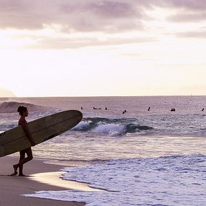 Bilder The Search for Freedom