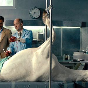 Bilder Mord in Buenos Aires