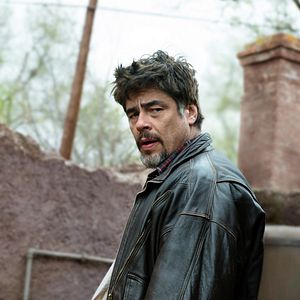 Bilder Benicio Del Toro