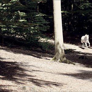 Bilder Mein Prinz - Mein König