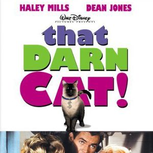 Bilder Alles für die Katz