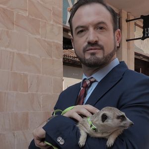 Bilder Alex O'Dogherty