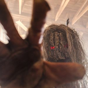 Bilder Lumberjack Man