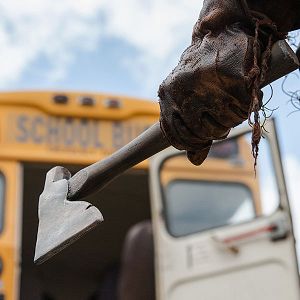 Bilder Lumberjack Man