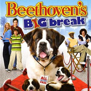 Bilder Beethovens großer Durchbruch