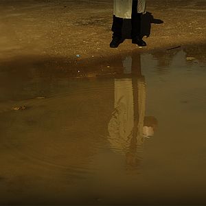 Bilder Starve Your Dog