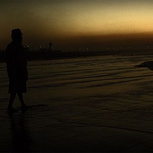 Bilder Starve Your Dog