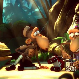 Bilder Primates of the Caribbean