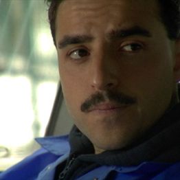 Bilder Looking for Kitty