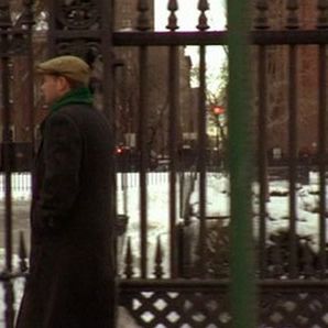 Bilder Looking for Kitty