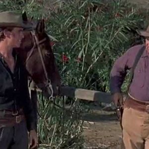 Bilder The Quick Gun