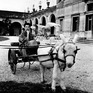 Bilder Peggy Guggenheim - Ein Leben für die Kunst