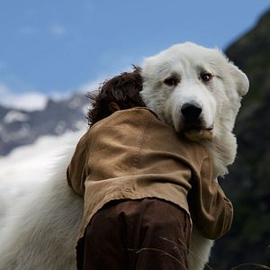 Bilder Sebastian und die Feuerretter