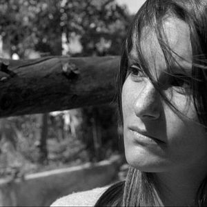 Bilder Un sol frío en verano - Un soleil froid en été