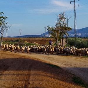 Bilder Je lutte donc je suis