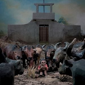 Bilder The Missing Picture