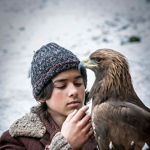 Bilder Wie Brüder im Wind