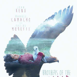 Bilder Wie Brüder im Wind