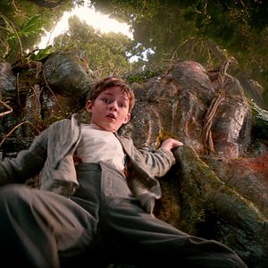 Bilder Levi Miller (II)