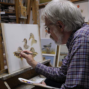 Bilder Birds & People - Ganz verrückt auf Vögel