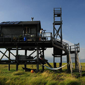 Bilder Birds & People - Ganz verrückt auf Vögel
