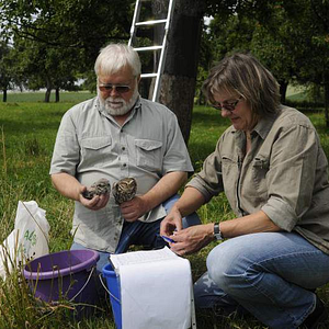 Bilder Birds & People - Ganz verrückt auf Vögel