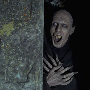 Bilder 5 Zimmer Küche Sarg