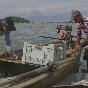 Bilder 5 Vezes Chico - O Velho e sua Gente
