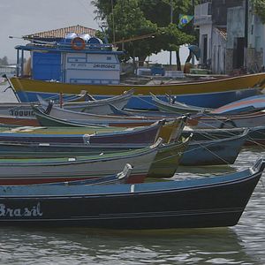 Bilder 5 Vezes Chico - O Velho e sua Gente