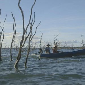 Bilder 5 Vezes Chico - O Velho e sua Gente