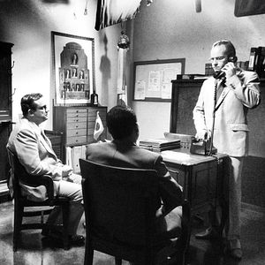 Bilder Olhar de Nise