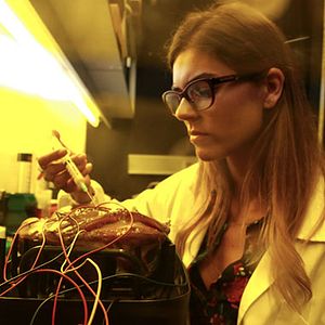 Bilder Aqui, em Lisboa - episódios da vida da cidade