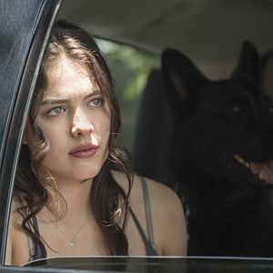 Bilder The Leftovers