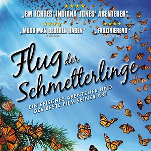 Bilder Flug der Schmetterlinge