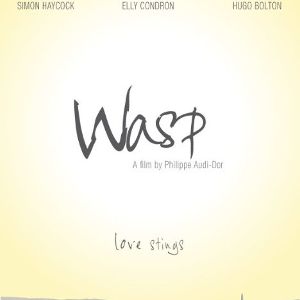 Bilder Wasp